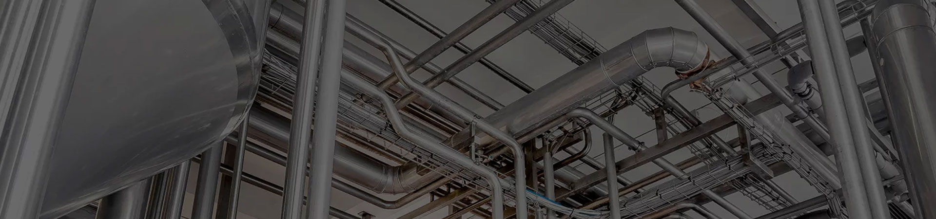 NDT Services Food Processing